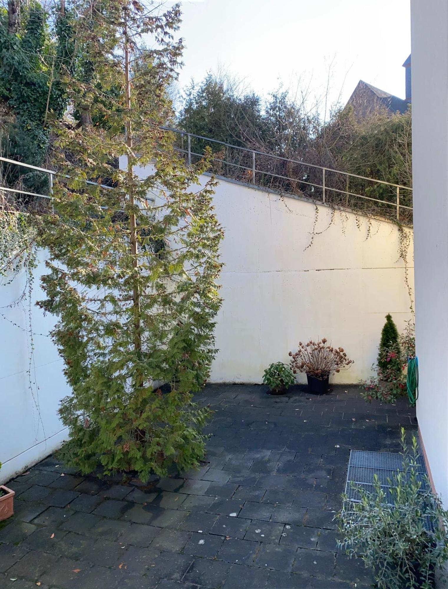 Hotel Traumblick Cochem Cameră foto
